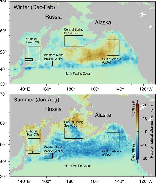 Changes in winter and summer habitats of chum salmon in the North Pacific from 1998 to 2022. Boxes show the traditional migratory areas for Japanese chum salmon