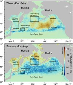 Changes in winter and summer habitats of chum salmon in the North Pacific from 1998 to 2022. Boxes show the traditional migratory areas for Japanese chum salmon