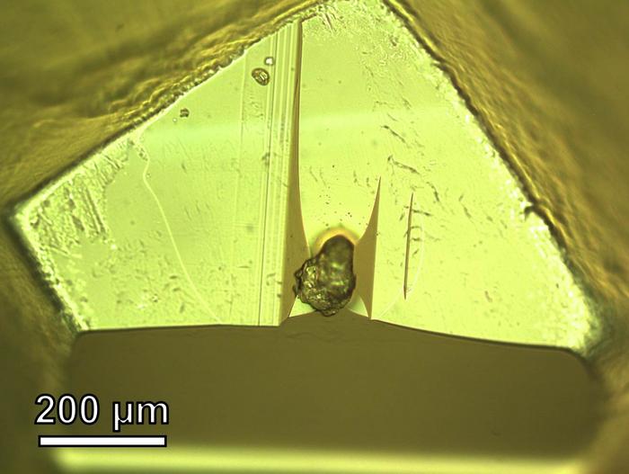 The asteroid sample analyzed in this study