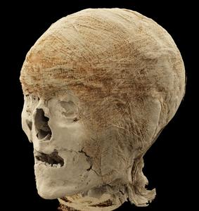 Egyptian male mummy head