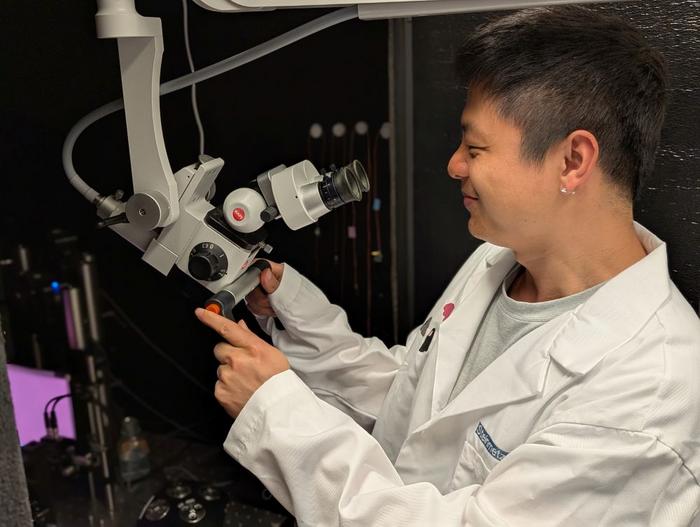 Brain rotating imaging research Zhiwen Ye