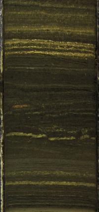 core pollen sample