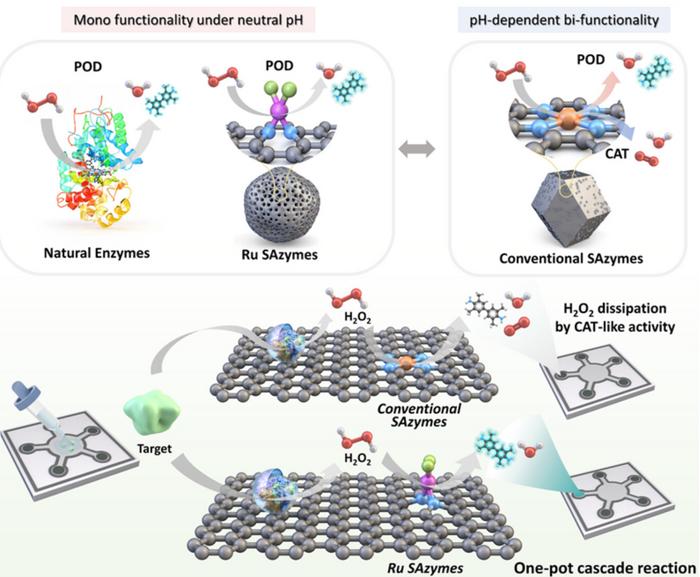 KAIST Enables On-Site Disease Diagnosis in Just 3 Minutes... Nanozyme Reaction Selectivity Improved 38-Fold​