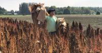 Tech in Field