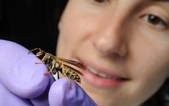 NSF EDGE Awardee Amy Toth