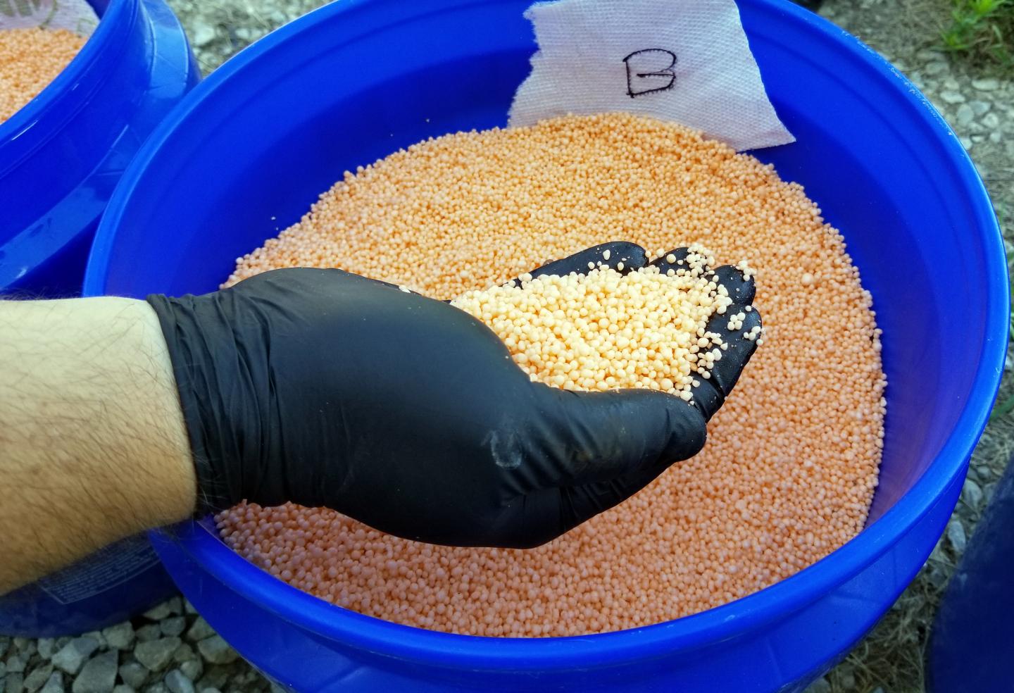Urea Granules