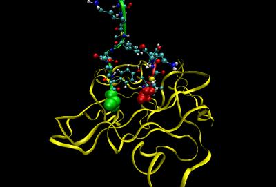 Intein