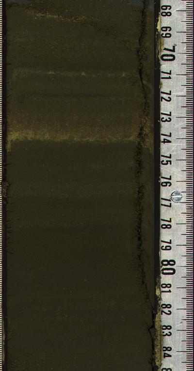 Drilling Core