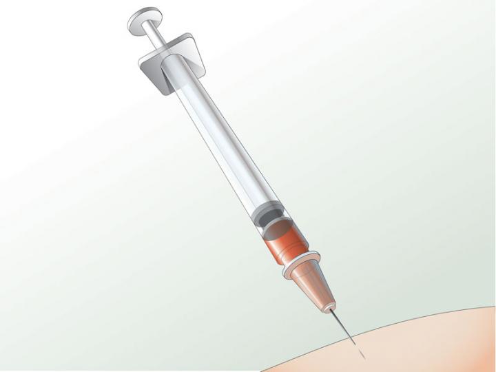 Developing a Global Strategy for First Dengue Vaccine Deployment