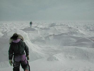 Arctic Sea Ice