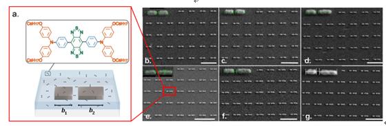 Figure 1 | asymmetric double-bar nano-antennas.