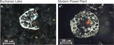 Smoking Gun of Permian Extinction (2 of 3)