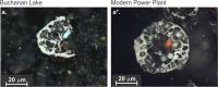 Smoking Gun of Permian Extinction (2 of 3)
