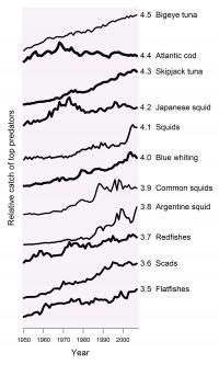 Catch: Top Predators