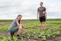 2017 Field Trial, Researchers
