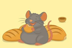 Mice prefer bread over chow