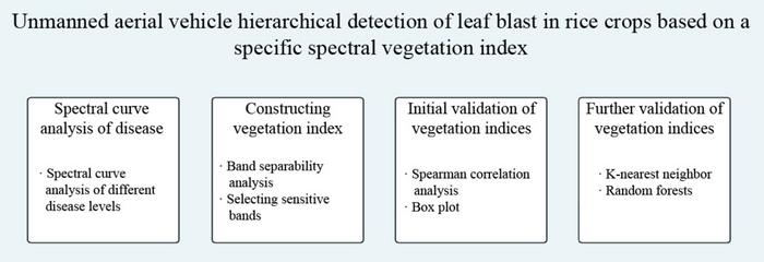 Graphical Abstract
