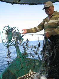 Fisherman and Fish