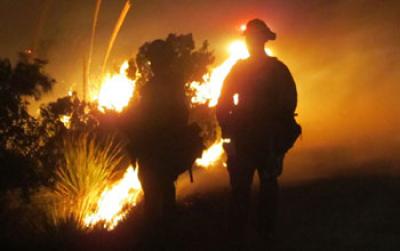 New Mexico's Last Chance Fire
