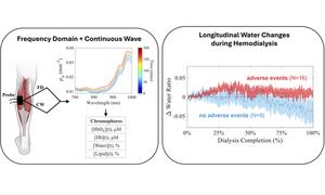 Longitudinal Water Changes during Hemodialysis