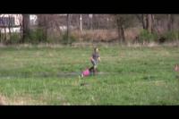 Video Describing the New Stormwater Runoff Project at the University of Missouri-Columbia