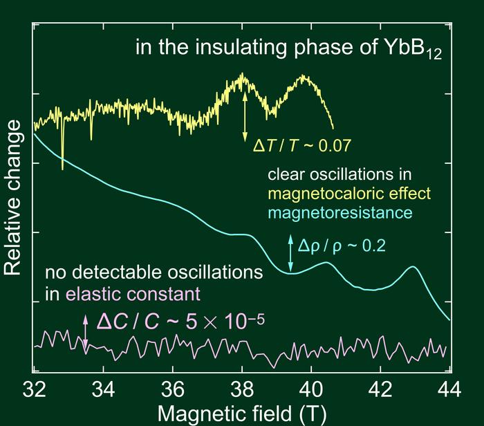 Tracking quantum oscillations in YbB12 under strong magnetic fields