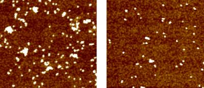 Collecting Nanoparticles