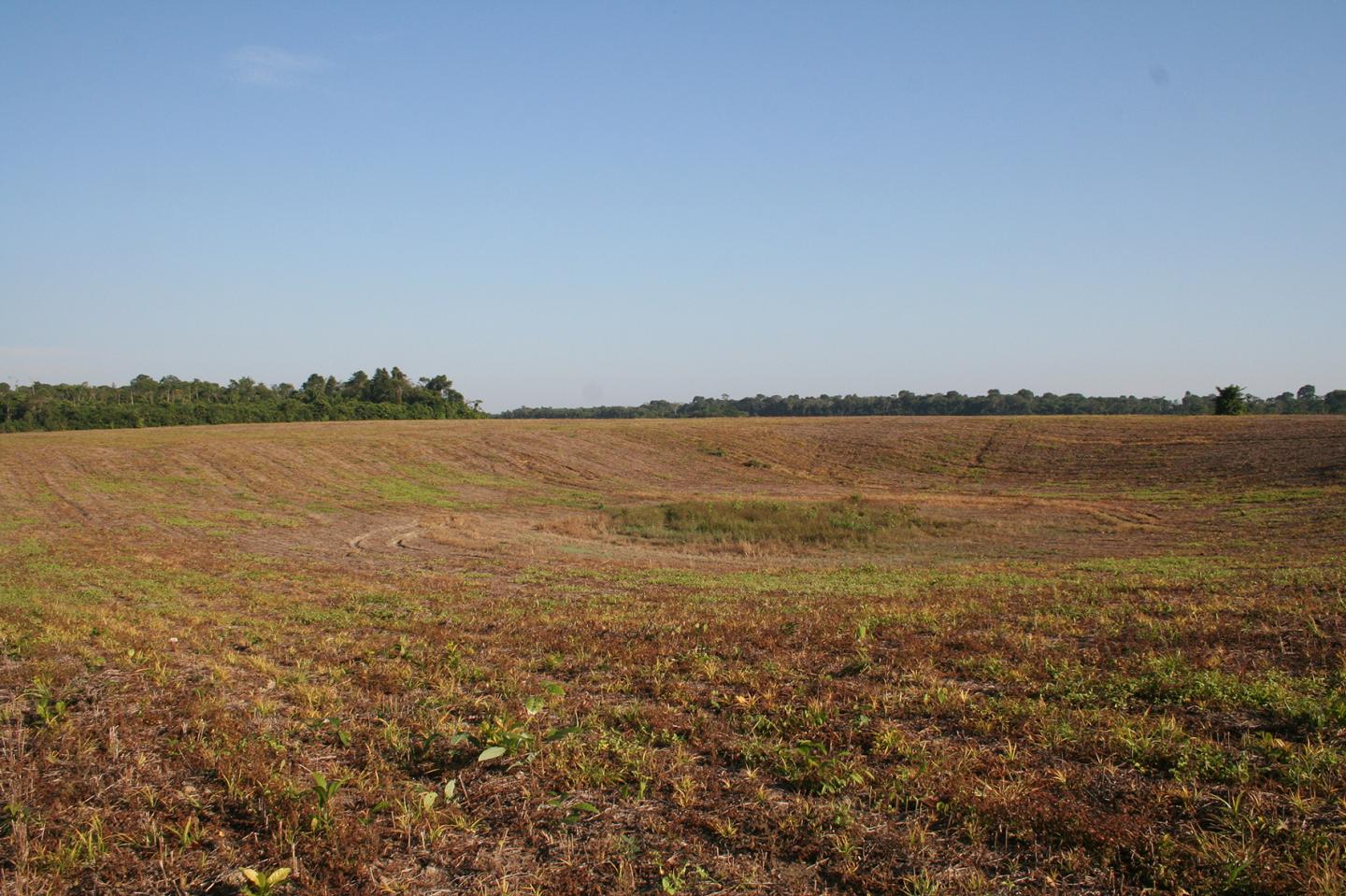Water Storage Made Prehistoric Settlement Expansion Possible in Amazonia (2 of 3)
