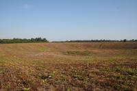 Water Storage Made Prehistoric Settlement Expansion Possible in Amazonia (2 of 3)
