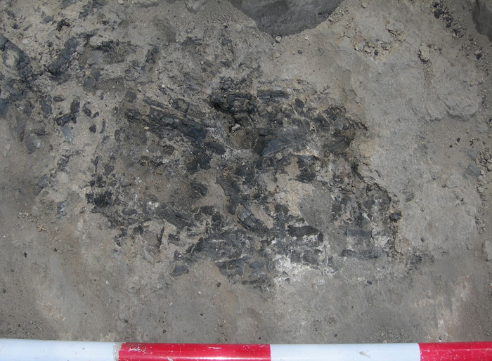 7,000 years-old hearth remains at the village of Tel Tsaf7,000 years-old hearth remains at the village of Tel Tsaf