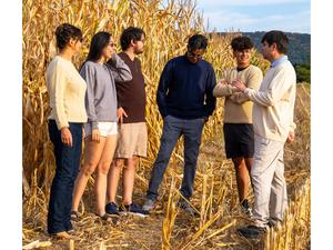 researchers in a corn field