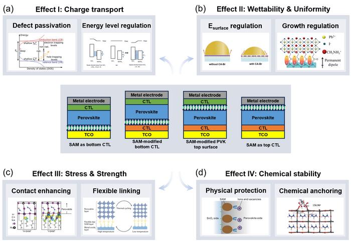 Applications of SAMs in perovskite optoelectronic devices, along with their four functional roles and corresponding atomic-scale mechanisms