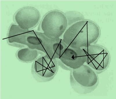 Helium Molecule