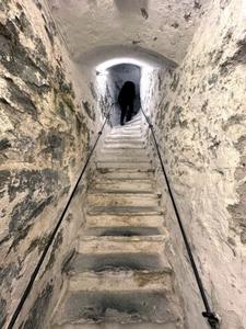 Into the depths of the NTNU University Museum's storage vaults