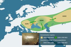 Two time slices, three geographical regions and three horse populations: A complex map of Eurasia.