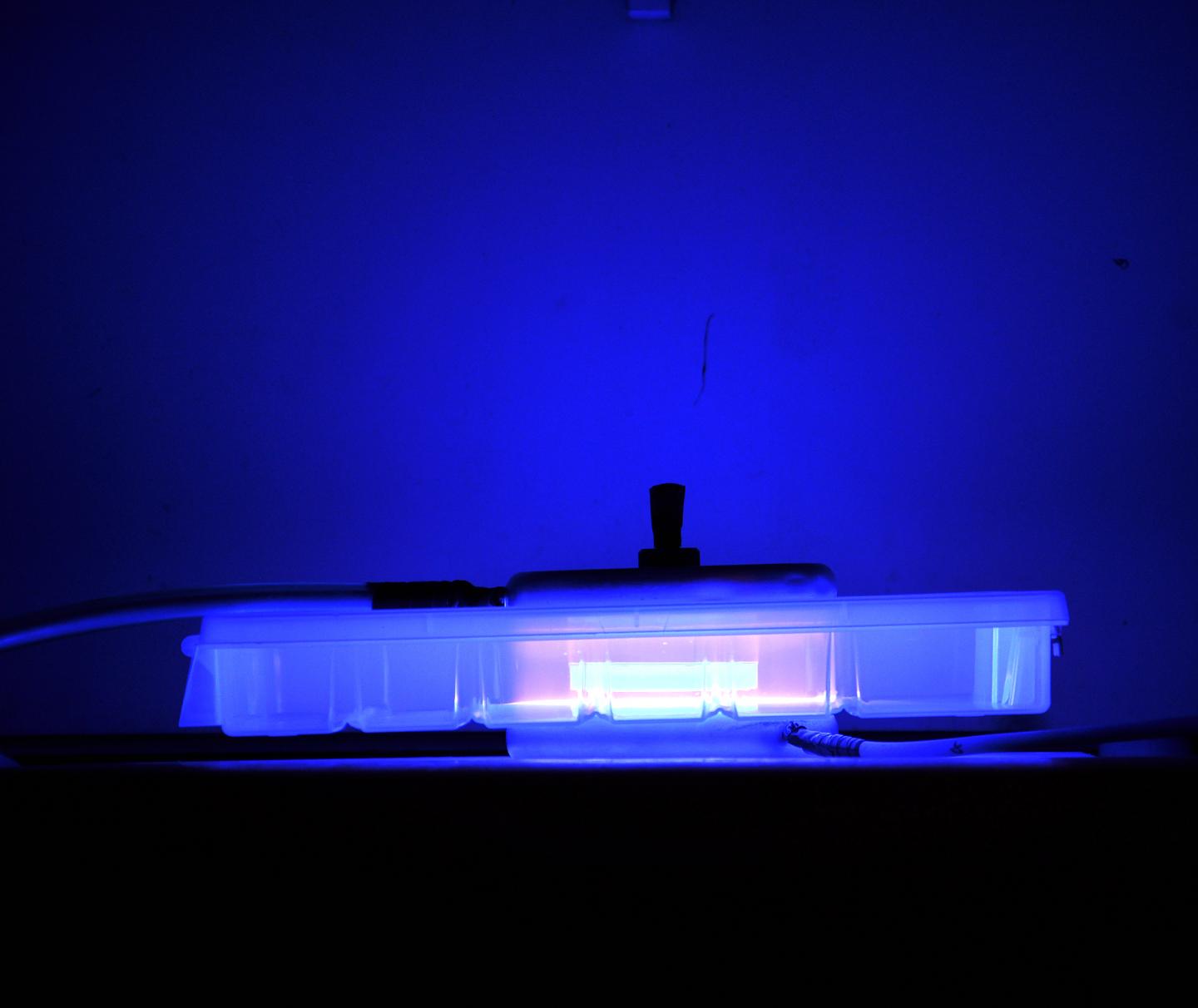 Plasma-Zapping Process Could Yield Trans Fat-Free Soybean Oil Product