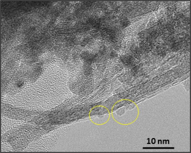 TEM Image
