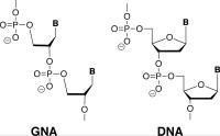 Making GNA for Nanotechnology