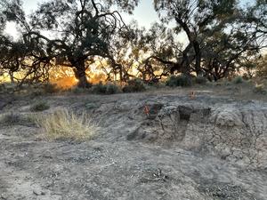 The burial site