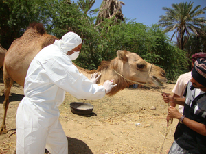 MERS detection