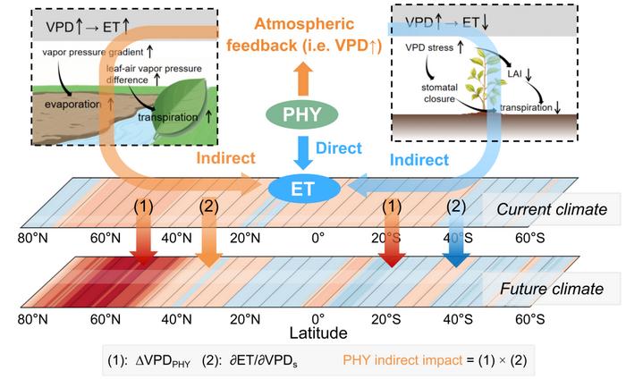 Evapotranspiration