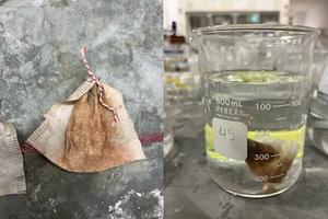 These teabags aren’t for making tea — they remove arsenic