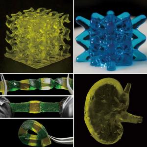 Liheng Cai lab's 3D-printed polymer structures collage