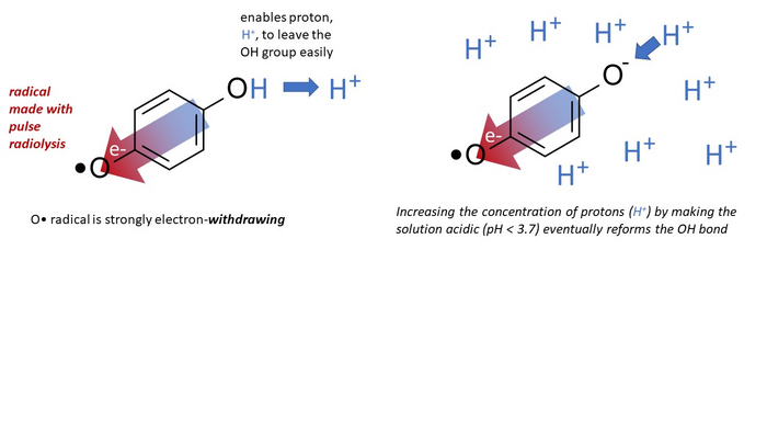 molecular graphics