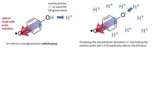 molecular graphics