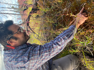 Matt Macander, with Alaska Biological Research