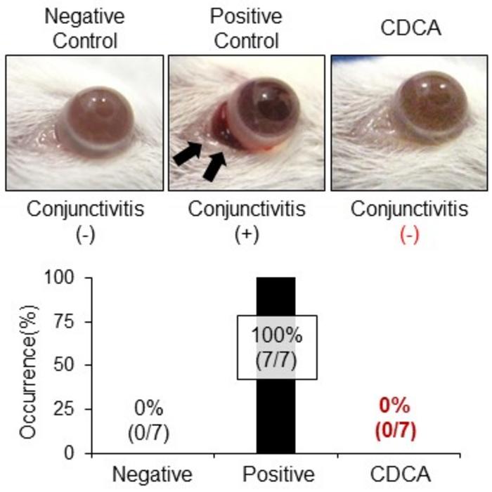 Figure 2: CDCA completely suppressed conjunctivitis in SJS/TEN model mice
