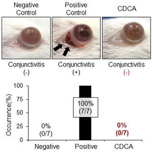Figure 2: CDCA completely suppressed conjunctivitis in SJS/TEN model mice