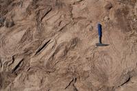 Stromatolites
