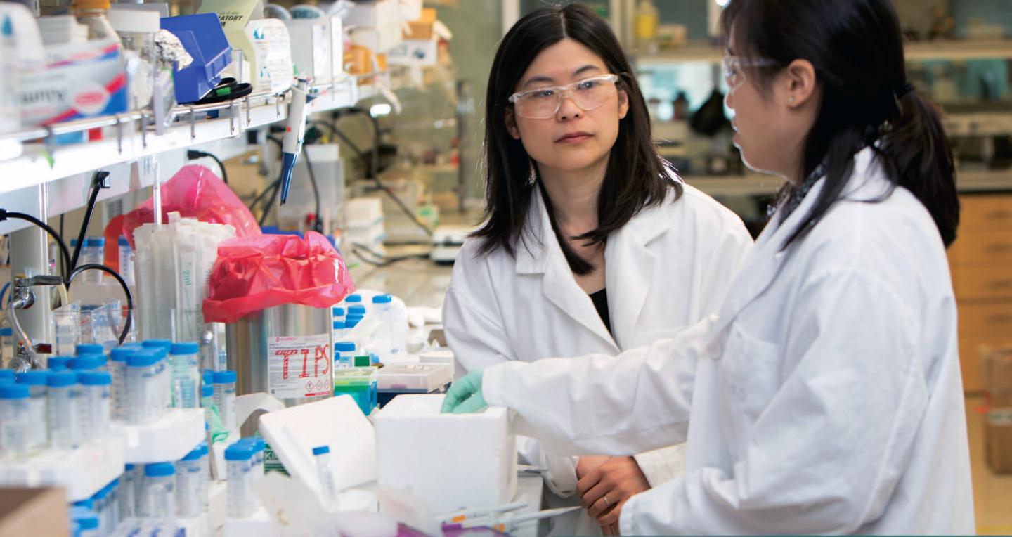 Suzie Pun, University of Washington
